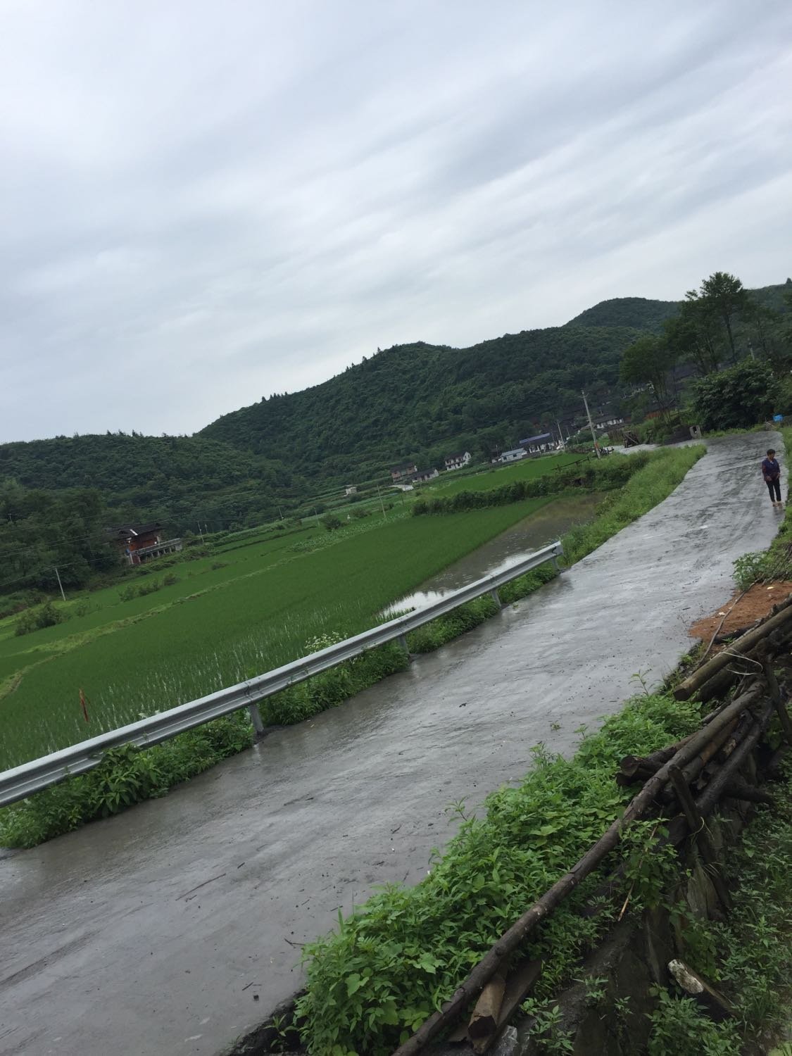 沿山镇天气预报更新通知