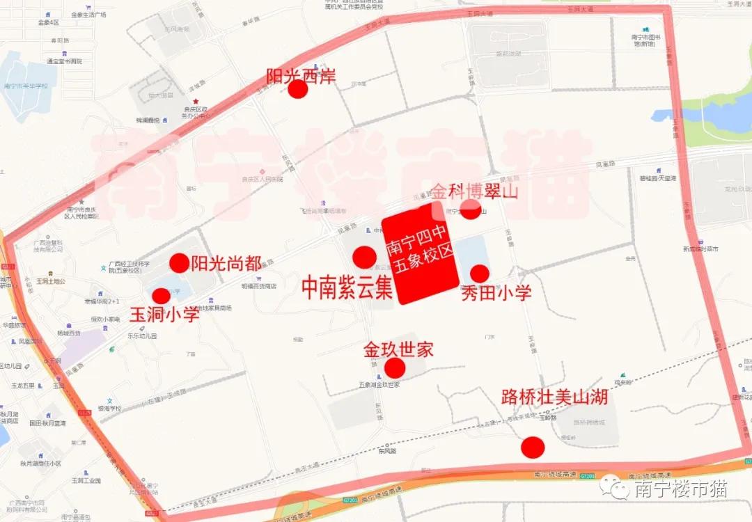 良庆区初中最新新闻动态概览