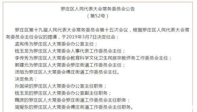 罗庄区文化局最新人事任命，推动文化事业新发展