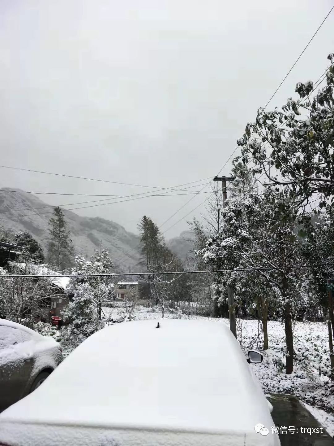 雪仲娘村天气预报更新通知