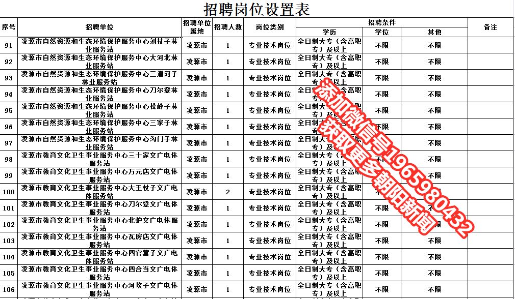 朝阳县计划生育委员会最新招聘信息及招聘细节探讨