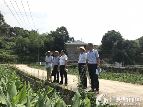 洞头县农业农村局最新项目，推动农业现代化，助力乡村振兴