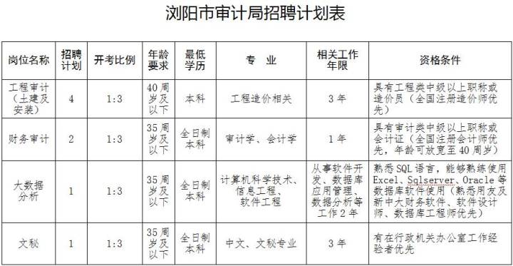 雨湖区审计局最新招聘公告概览