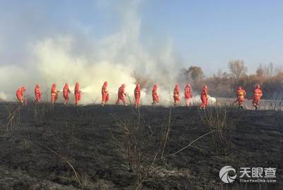 石羊河林业总场大滩园林场最新领导及其领导下的新气象