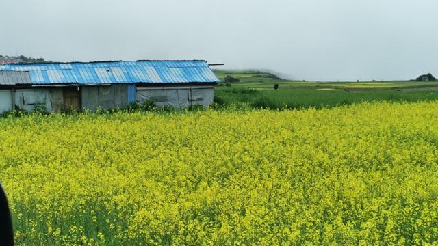 尼它村全新发展规划揭秘