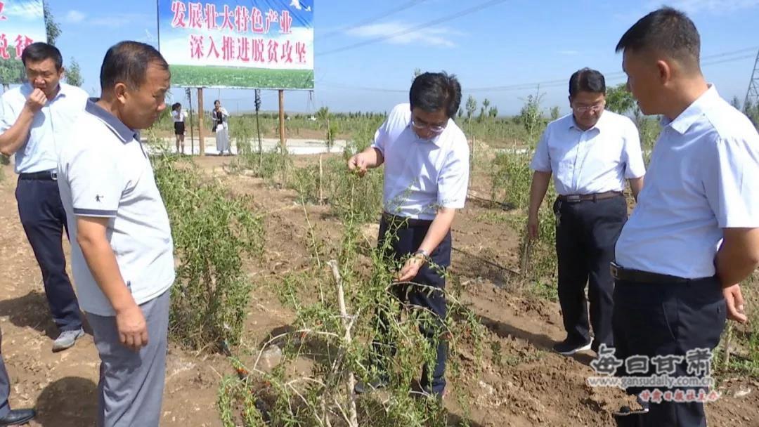 靖安镇最新项目，地区发展的强大引擎驱动力