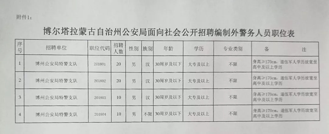 巴彦淖尔市统计局最新招聘启事概览