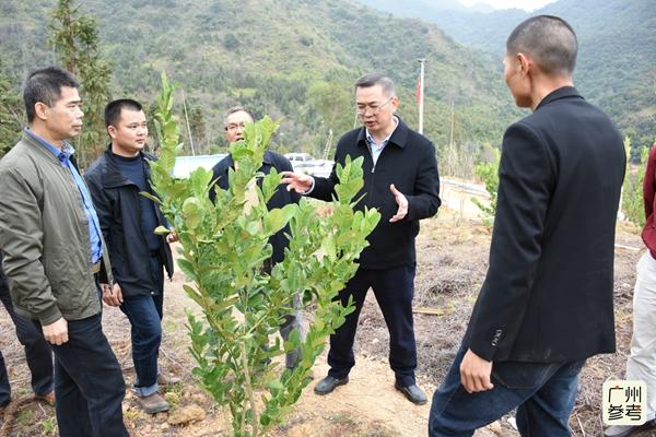 架然村委会天气预报及影响深度解析