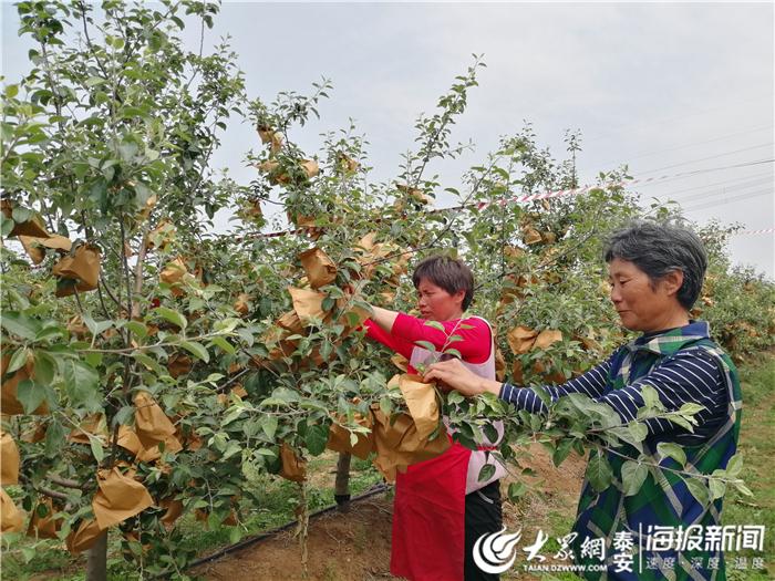 葛石镇最新新闻动态