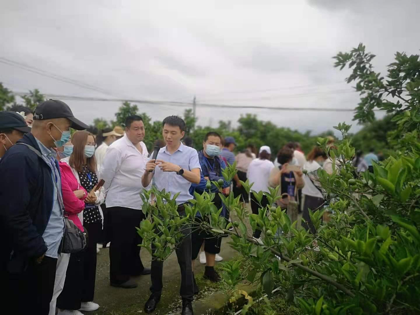 海东地区市安全生产监督管理局最新项目研究动态