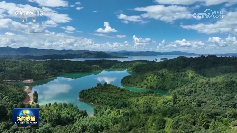 引龙河林场最新动态报道