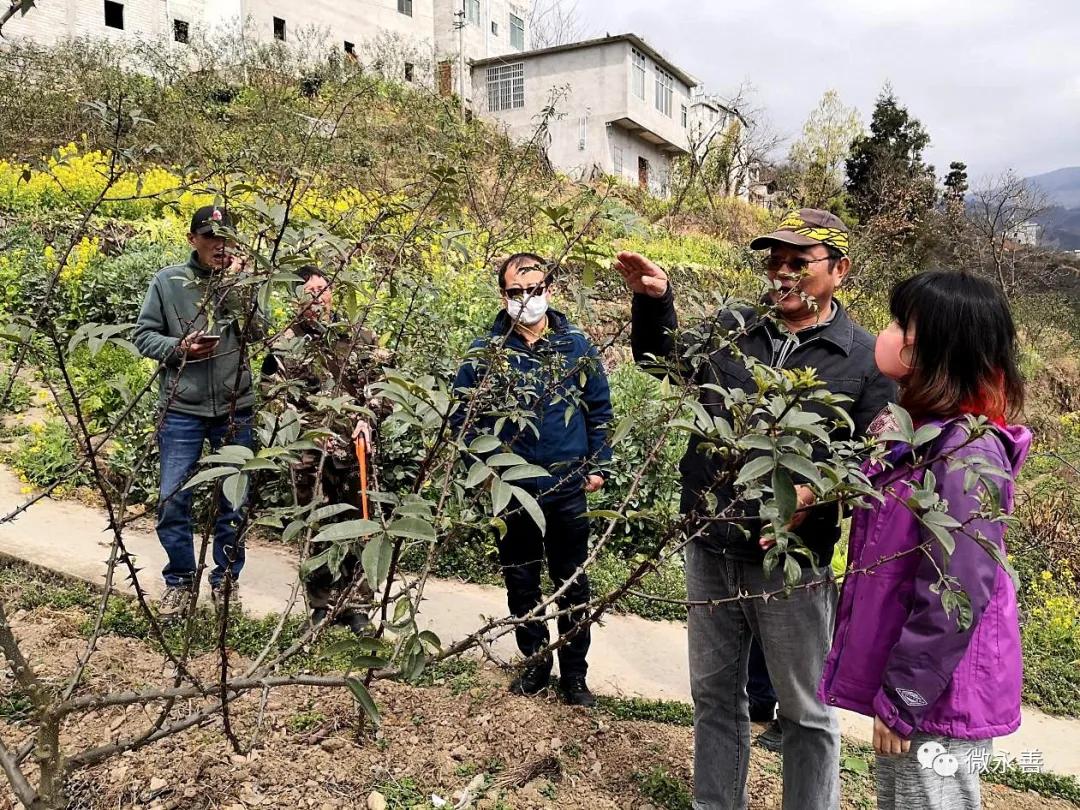 昭通市林业局最新招聘启事概览