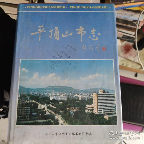 平顶山市地方志编撰办公室启动新项目，传承历史，筑梦未来