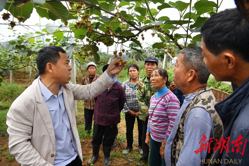 果忙村最新新闻报道概览